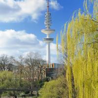 1645_2333 Wallanlagen in Hamburgs Innenstadt - Weide mit jungen Blatttrieben am Wasser. | Bilder vom Fruehling in Hamburg; Vol. 1